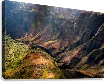 Waimea Canyon detail Canvas Print
