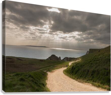Pathway to the sunlight by ocean Canvas Print