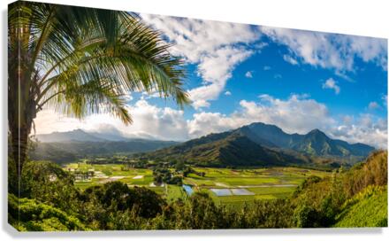 Hanalei valley from Princeville overlook Kauai Canvas Print