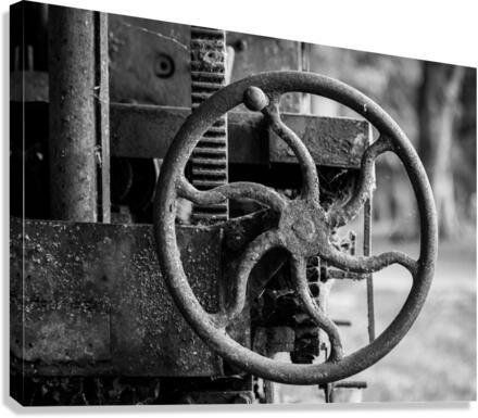 Moss covered farm machinery with handle Canvas Print