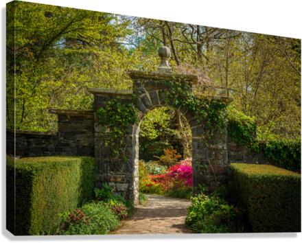 Archway frames Azaleas and Rhododendron trees in spring Canvas Print