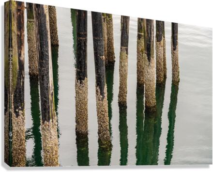 Old wooden pier structure in bay at Icy Strait Point in Alaska  Impression sur toile