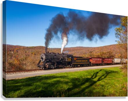 WMRR Steam train powers along railway Canvas Print