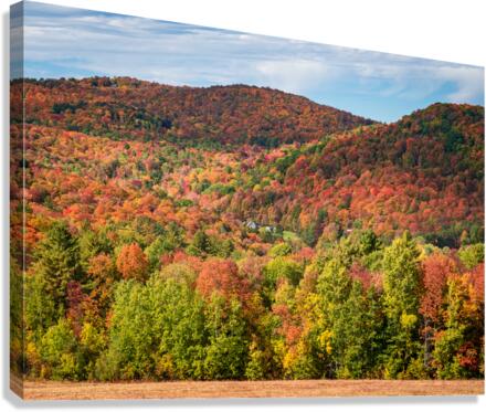 Multi-colored hillside in Vermont during the fall  Impression sur toile
