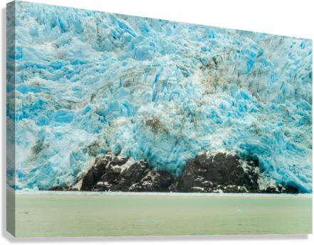 Amalia Glacier towers over large rocks and trees in Patagonia Canvas Print