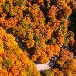 Aerial view of hairpin bend in Smugglers Notch
