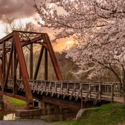 Steel girder bridge carries the bike walking trail over Deckers 