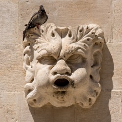Detail of rain water spout in Dubrovnik old town