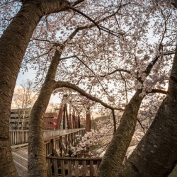 Steel girder bridge carries the bike walking trail over Deckers 