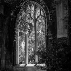 Creeping plants over the empty windows of St Dunstan church