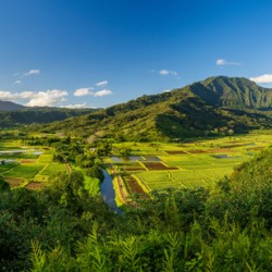 Panoramic view over the Hanalei national wildlife refuge Kauai