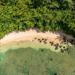 Aerial from above view of Sealodge beach in Princeville