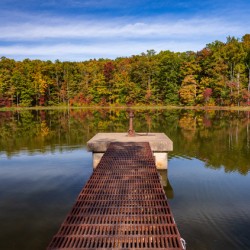 Fall leaves and metal pier in Coopers Rock State Forest in WV