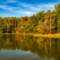 Fall leaves surround reservoir in Coopers Rock State Forest in W