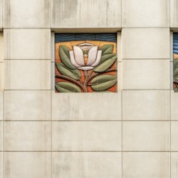Art deco illustration of magnolia flower in Baton Rouge Louisian