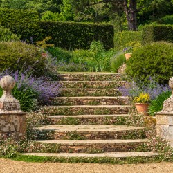 Stone steps into a hedged flower garden on the Isle of Wight