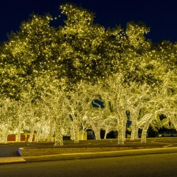 Holiday lights spectacular in Johnson City Texas
