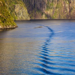 Fjord of Milford Sound in New Zealand