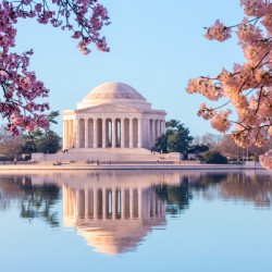 Beautiful early morning Jefferson Memorial wall art