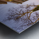 Entrance to Williamson County Courthouse in Georgetown TX Metal print