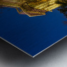 December lights on Williamson County Courthouse in Georgetown TX Impression metal