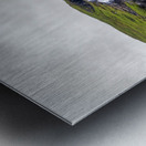 Waterfall in Tunhudalur valley near Isafjordur Iceland with lupi Impression metal