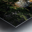 Boy with dog statue in Langley on Whidbey Island Metal print