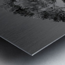 Solitary tree overlooks Waikiki in Black and White Metal print