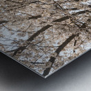 Blossoms by the steel girder bridge carries the bike walking trail Metal print