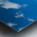 Sea level rise flooding the flowers for butterfly Metal print