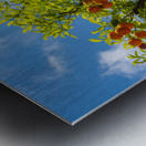 Oranges growing in courtyard of monastery Metal print