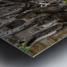 Red flowers in artistic flower arrangement with cartwheel Metal print