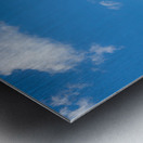 Green grassy lawn with blue sky and clouds Metal print