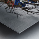 Fallen tree from Hurricane Maria in San Juan Metal print