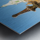 Railings in snow outside Lunatic Asylum Metal print