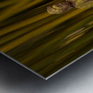 Buddha statue in bamboo forest Metal print