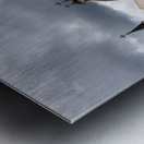 Plaza at Basilica of Mongomo in Equatorial Guinea Metal print