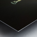 Freedom Statue at night in Budapest Metal print