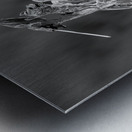 Equestrian statue Heldenplatz Vienna Austria Metal print