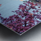 Beautiful early morning Jefferson Memorial wall art Metal print