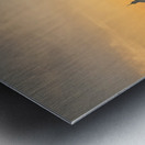 Skyline of Rome towards San Carlo al Corso Metal print