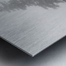 Mist and fog envelop two pine trees Metal print