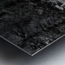 Two old wooden cartwheels against wood cart Metal print