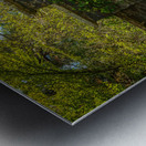 Archway frames Azaleas and Rhododendron trees in spring Metal print