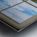 Lavender plants in blossom in early July through window Metal print