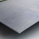 Exterior roof of the historic St Michaels Cathedral in Sitka Al Metal print