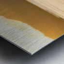 Dragon head carving on Hawaiian canoe in Oahu Metal print