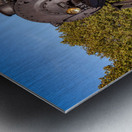 WMRR Steam train in Frostburg MD Metal print