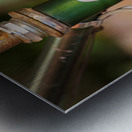 Memories of youth with Schwinn bike frame Impression metal