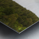 Reflection of branch in Coniston Water  Metal print